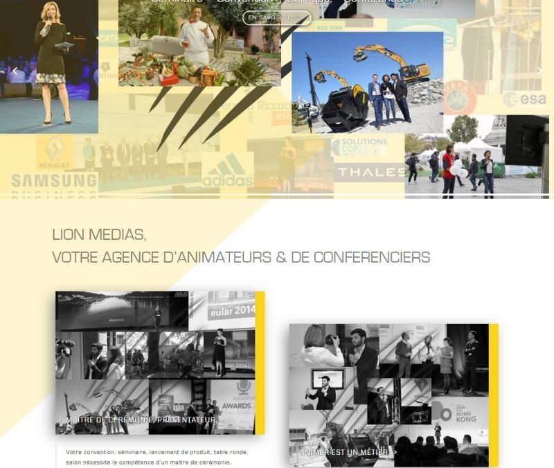 Lion Medias